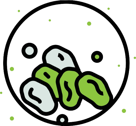 microbial-icon